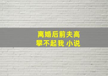 离婚后前夫高攀不起我 小说